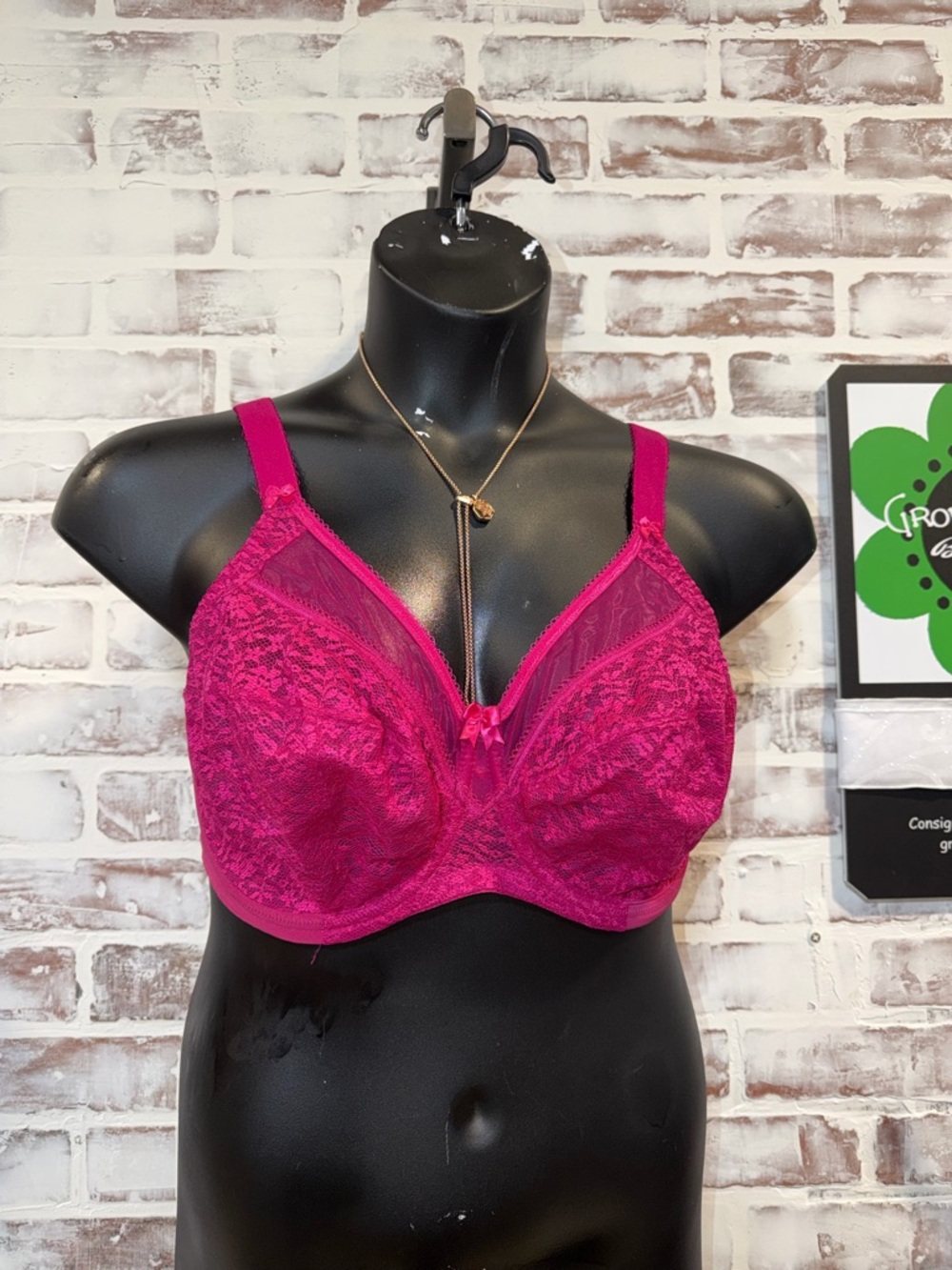 Goddess Lace Underwire Bra in Fuchsia 34J